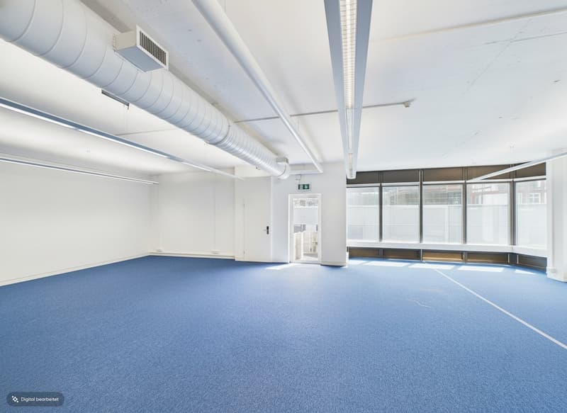 Flexible office and commercial spaces in high-quality finish (4)