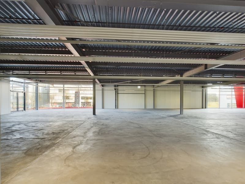 Modern versatile commercial spaces in Oberglatt (9)