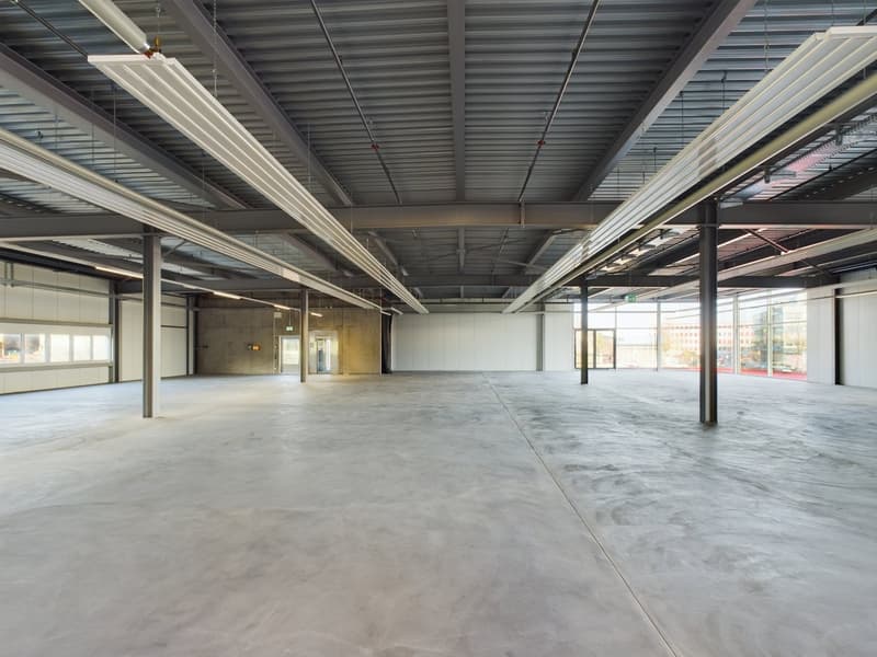 Modern versatile commercial spaces in Oberglatt (7)