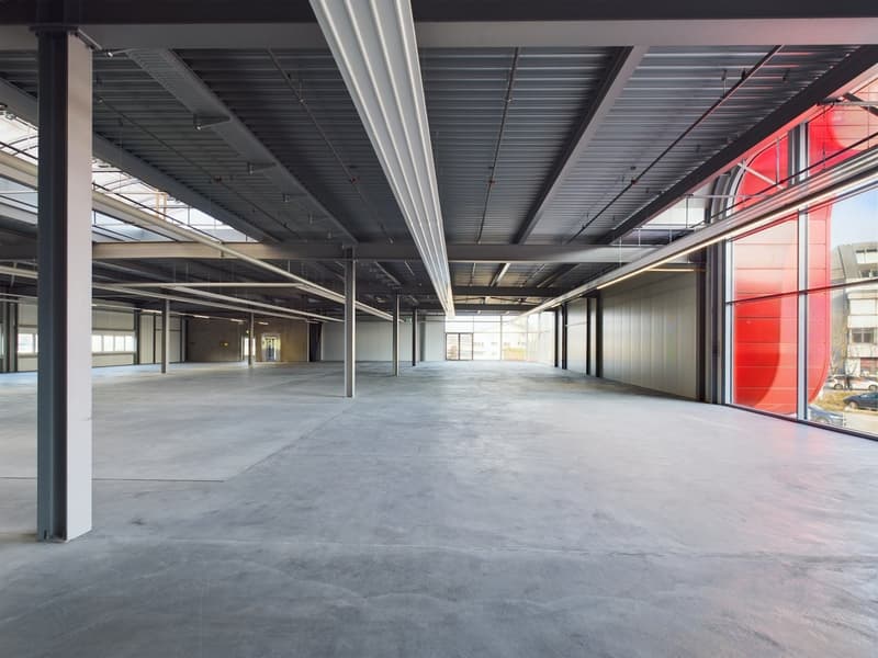 Modern versatile commercial spaces in Oberglatt (6)