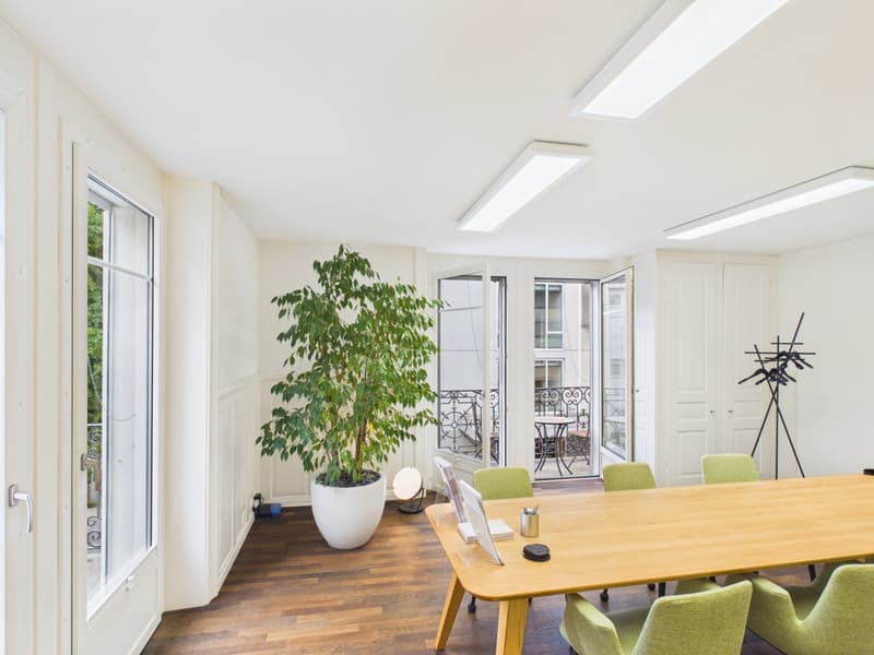 Fully Developed and First-Class - Office Spaces in the Heart of Zurich (6)