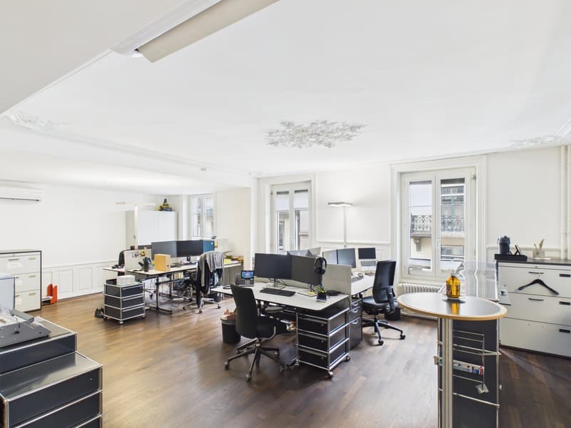 Fully Developed and First-Class - Office Spaces in the Heart of Zurich (11)