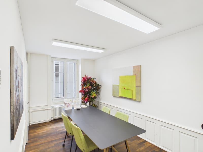 Fully Developed and First-Class - Office Spaces in the Heart of Zurich (8)