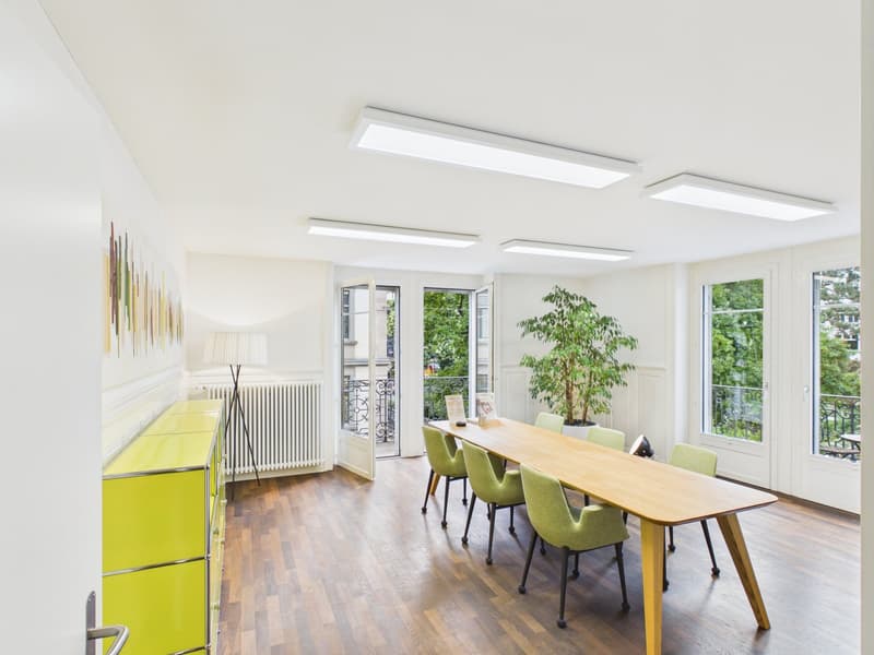 Fully Developed and First-Class - Office Spaces in the Heart of Zurich (5)