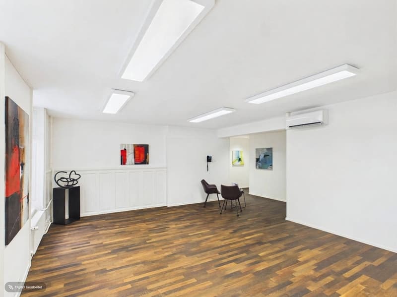 Fully Developed and First-Class - Office Spaces in the Heart of Zurich (2)