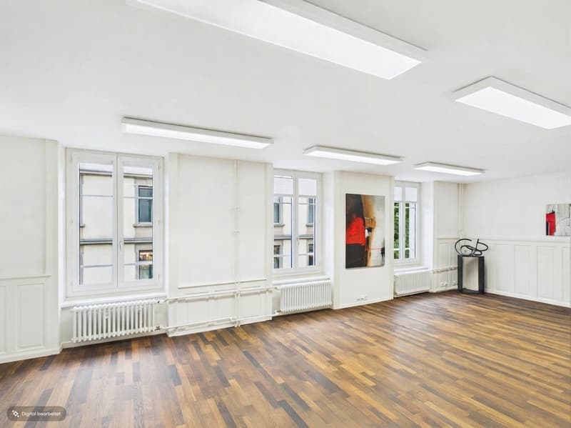 Fully Developed and First-Class - Office Spaces in the Heart of Zurich (3)