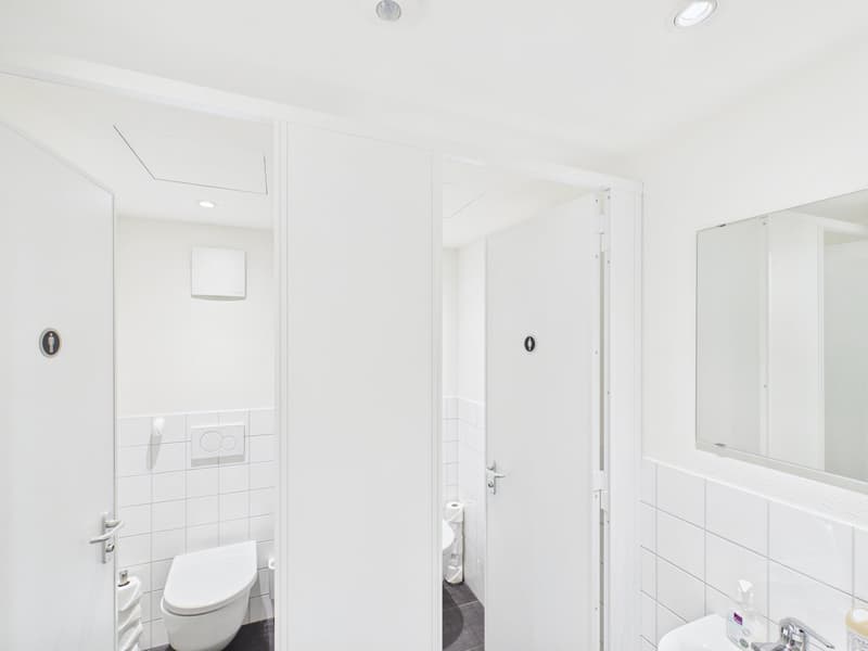 Fully Developed and First-Class - Office Spaces in the Heart of Zurich (18)