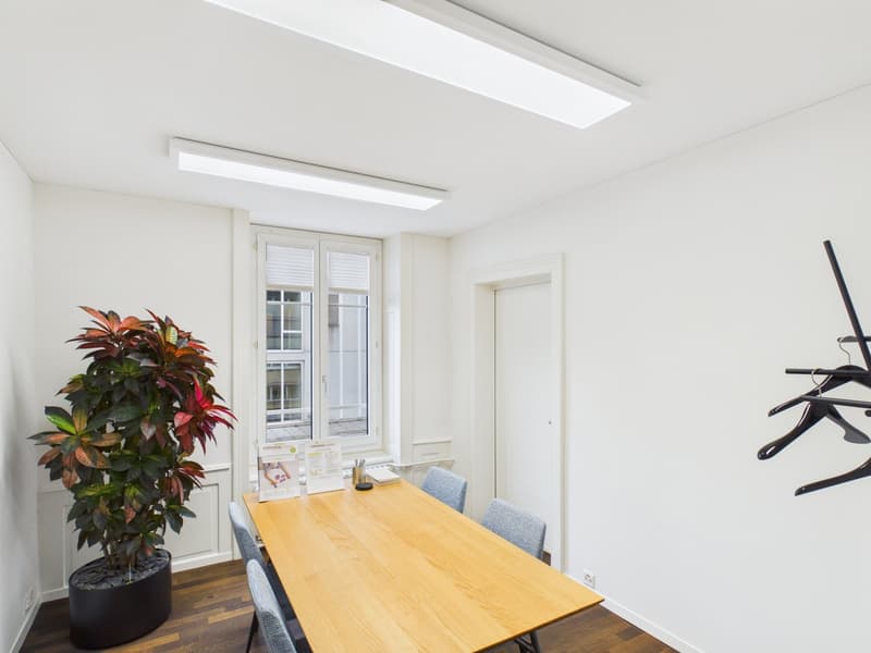 Fully Developed and First-Class - Office Spaces in the Heart of Zurich (16)