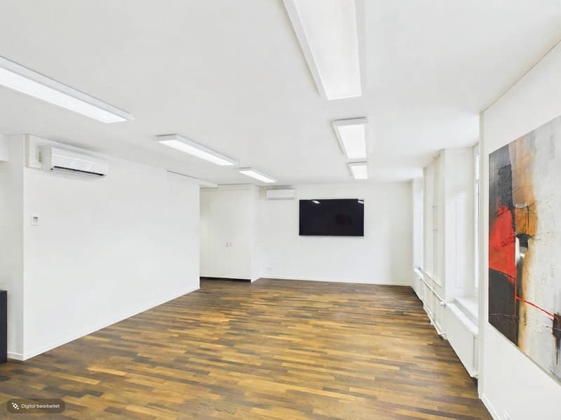 Fully Developed and First-Class - Office Spaces in the Heart of Zurich (4)