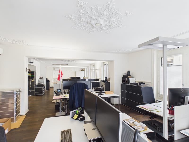 Fully Developed and First-Class - Office Spaces in the Heart of Zurich (13)