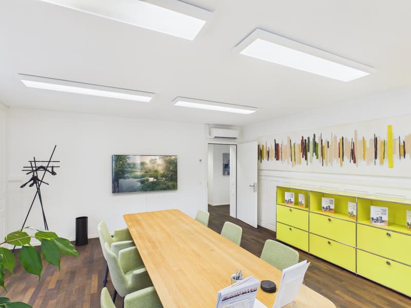 Fully Developed and First-Class - Office Spaces in the Heart of Zurich (7)