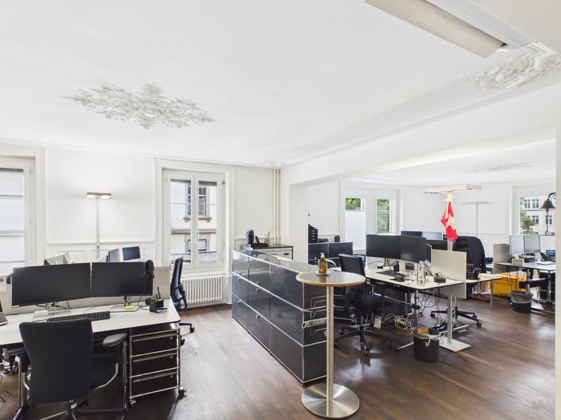 Fully Developed and First-Class - Office Spaces in the Heart of Zurich (12)