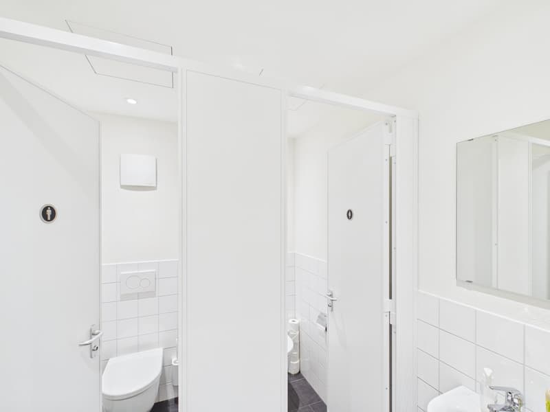 Fully Developed and First-Class - Office Spaces in the Heart of Zurich (10)