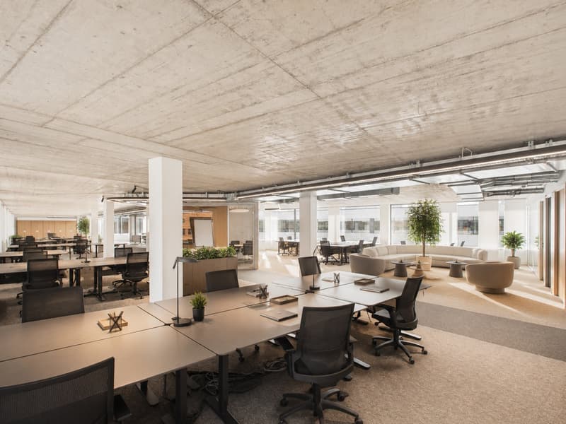 Ristrutturazione completa e arredato al 5° piano — da 358 m² - ufficio di alta gamma completamente ristrutturato disponibile immediatamente (9)
