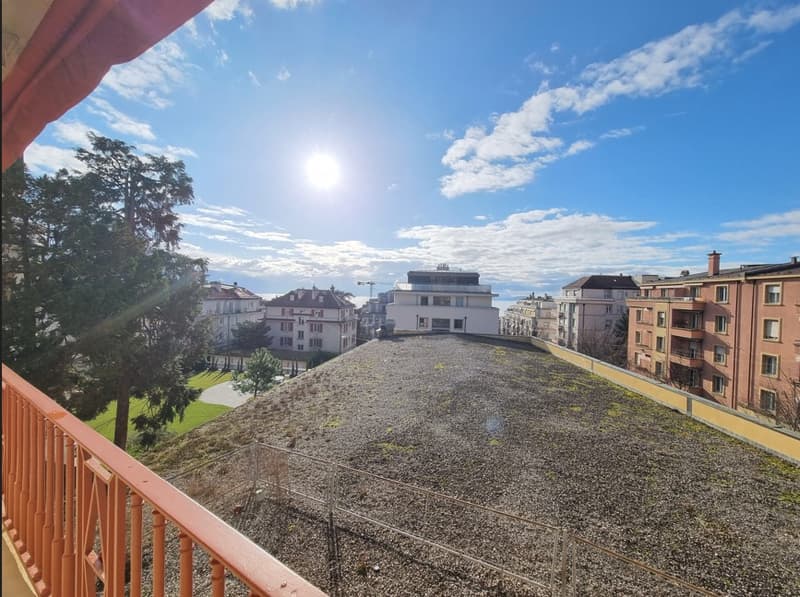 Meraviglioso appartamento ristrutturato vicino al parco di Mon Repos (17)