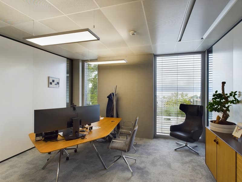 Modern office space with large windows, providing a view. The room features a wooden desk with a computer setup, chairs, and a potted plant. The lighting is provided by recessed ceiling panels.