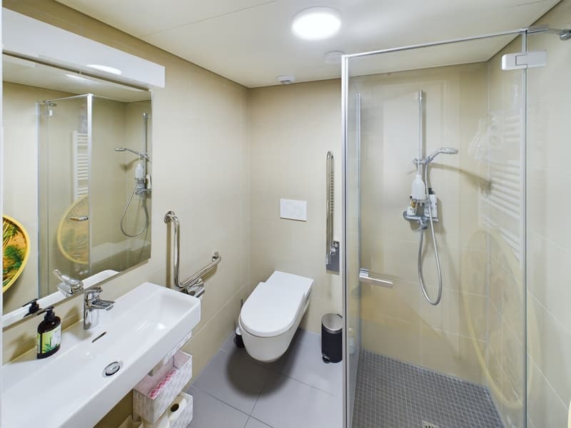 Bathroom with toilet, shower cubicle, sink, mirror, handrails, trash bin, and a toilet paper holder.