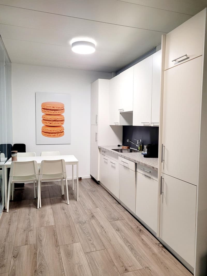 Modern offices for rent in Eysins (6)