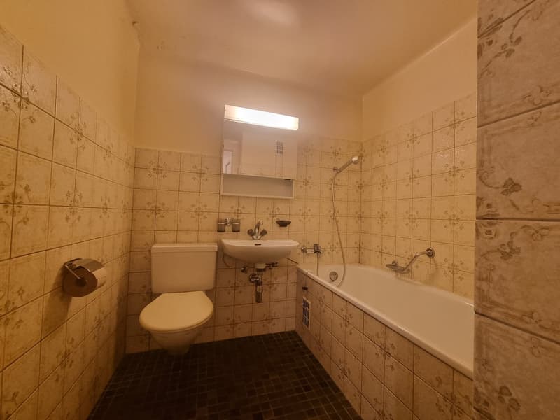 small bathroom, toilet, bathtub, sink, shower, floral tile walls