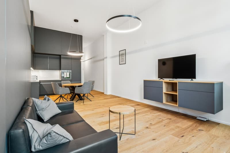 Möbliertes Studio mit Loftcharakter im Herzen von Wiedikon (5)