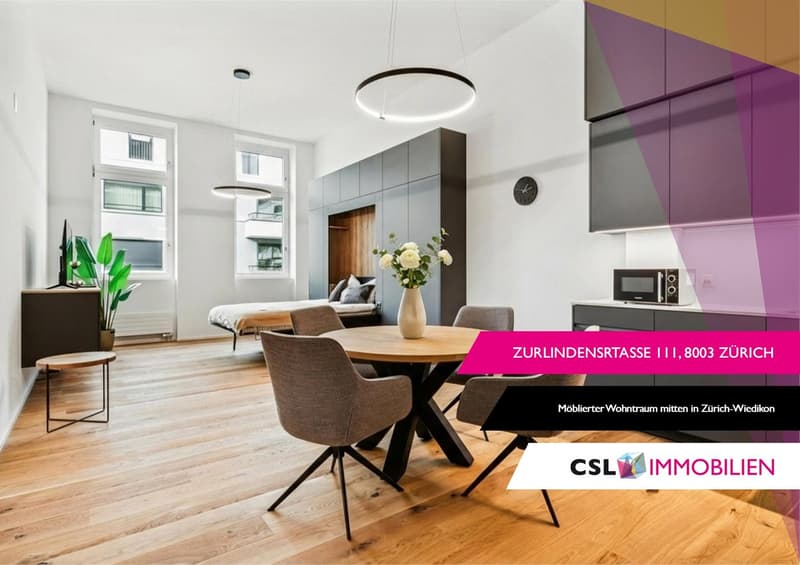 Möbliertes Studio mit Loftcharakter im Herzen von Wiedikon (1)