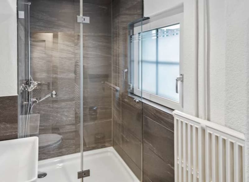 Multi-family house for private use or rental (6)