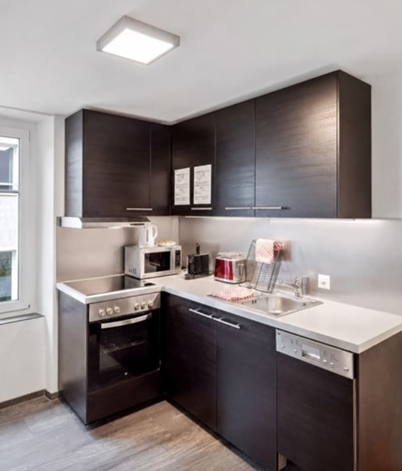 Multi-family house for private use or rental (5)