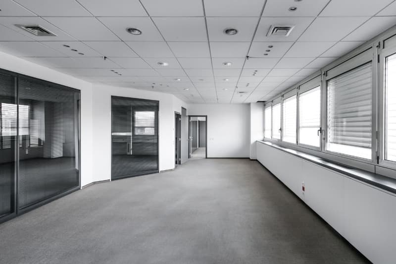 Office hall, neutral color scheme, large windows, carpeted floor