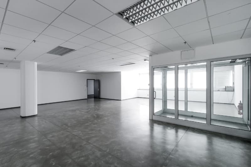 Empty room, concrete floor, glass doors, white walls, ceiling lamps