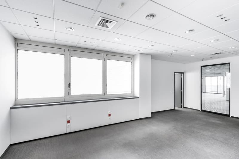 spacious empty room, white walls, gray flooring, ceiling with lights, windows, power outlets, doorways