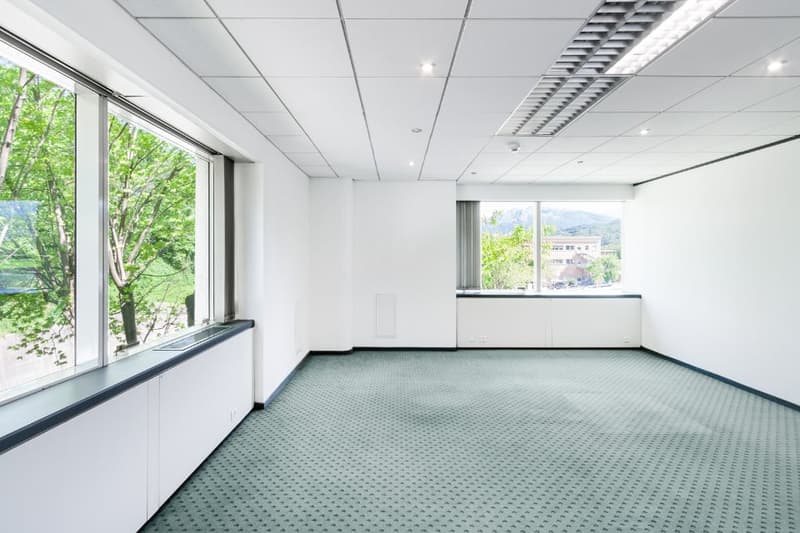 empty room, carpeted floor, white walls, large windows, view of trees and mountains