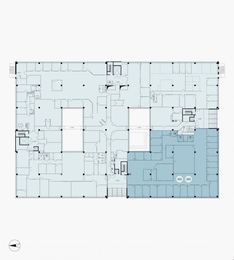 layout of rooms, kitchen, bedrooms, bathrooms, no balcony or terrace visible