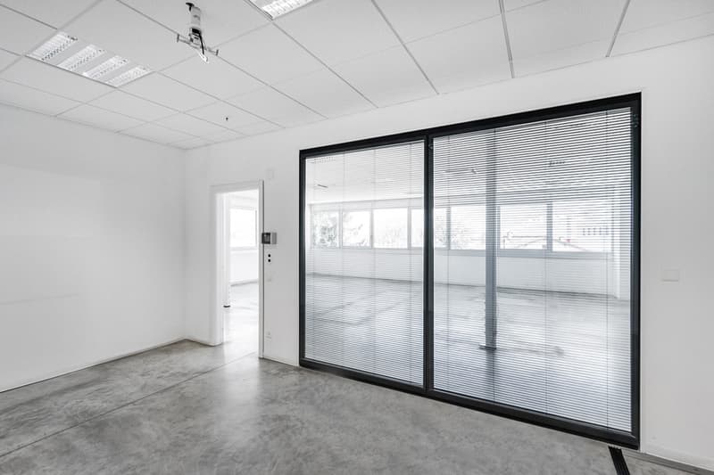 modern design, large sliding windows, concrete floor, white walls