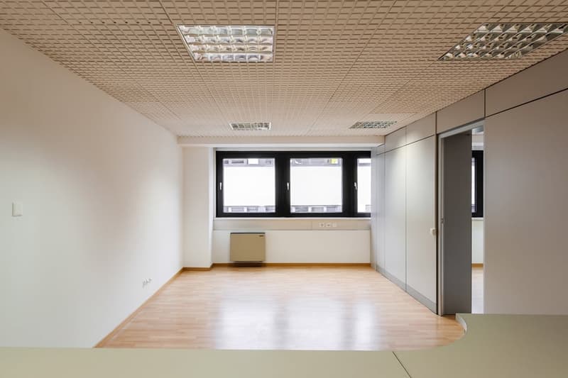 Large room with white walls, wooden floor, glass windows, blank room, 2 light fixtures