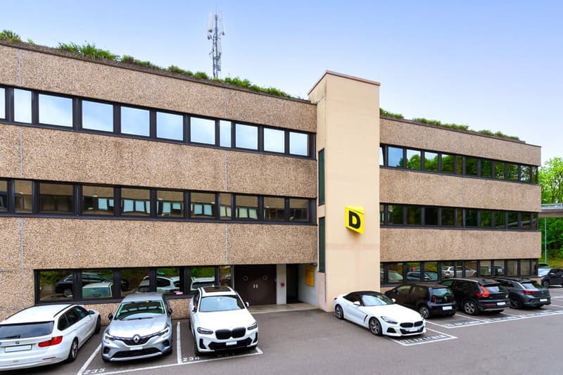 BIOGGIO - GRAND BUREAU À LOUER EN POSITION STRATÉGIQUE (ref. 013) (13)