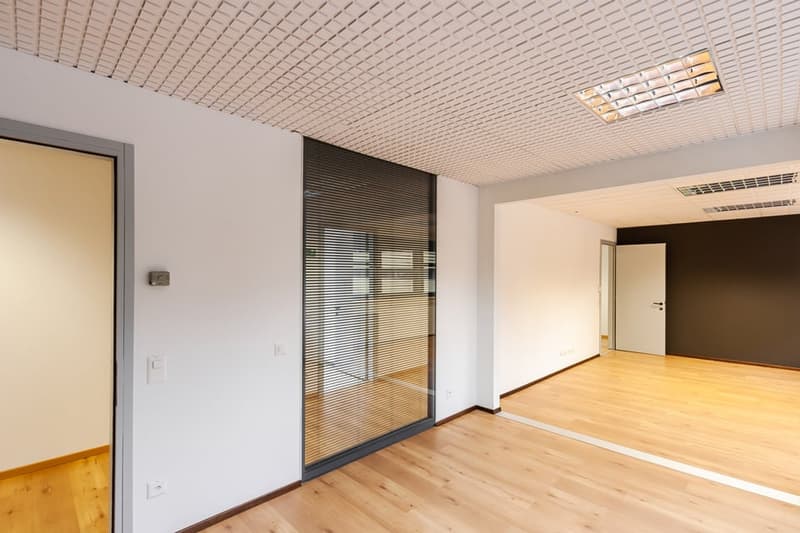 modern design, minimalist, wooden floor, two doors, large glass door, white ceiling