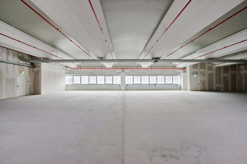 CADENAZZO - GROßES LAGER/LABOR VON 784 m² (REF. 102) (2)
