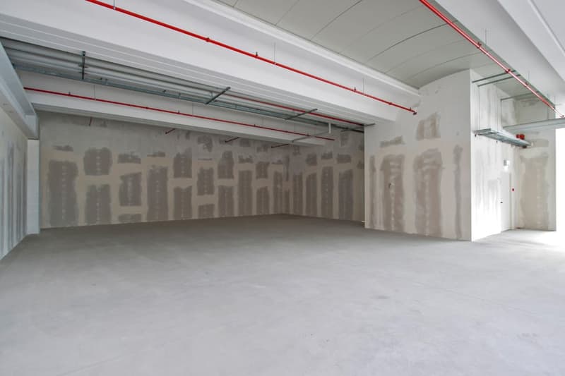 CADENAZZO - GROßES LAGER/LABOR VON 784 m² (REF. 102) (4)