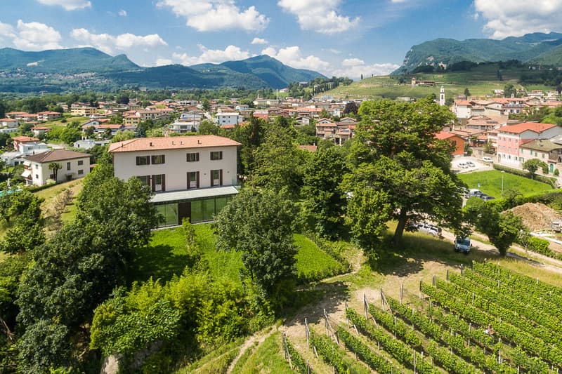 House with red roof and white walls, modern architecture, surrounded by vineyard, trees, green grass and mountains in the background