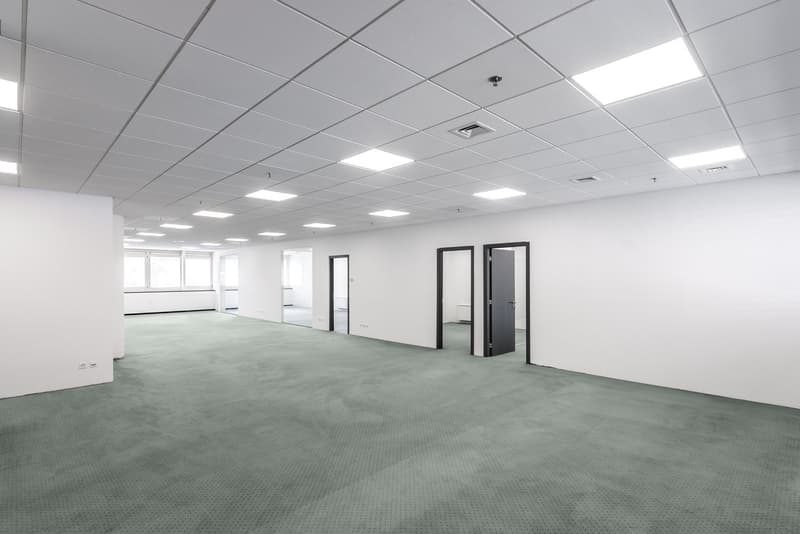 LUGANO NORD - BRIGHT OFFICE OF 333 SQM FOR RENT (REF. 213) (2)