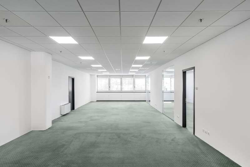 LUGANO NORD - BRIGHT OFFICE OF 333 SQM FOR RENT (REF. 213) (3)
