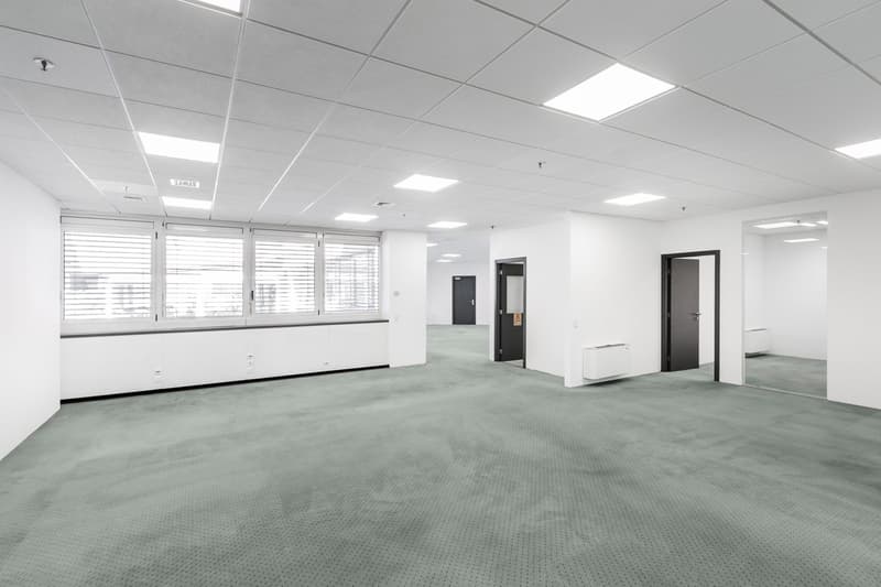 LUGANO NORD - BRIGHT OFFICE OF 333 SQM FOR RENT (REF. 213) (4)
