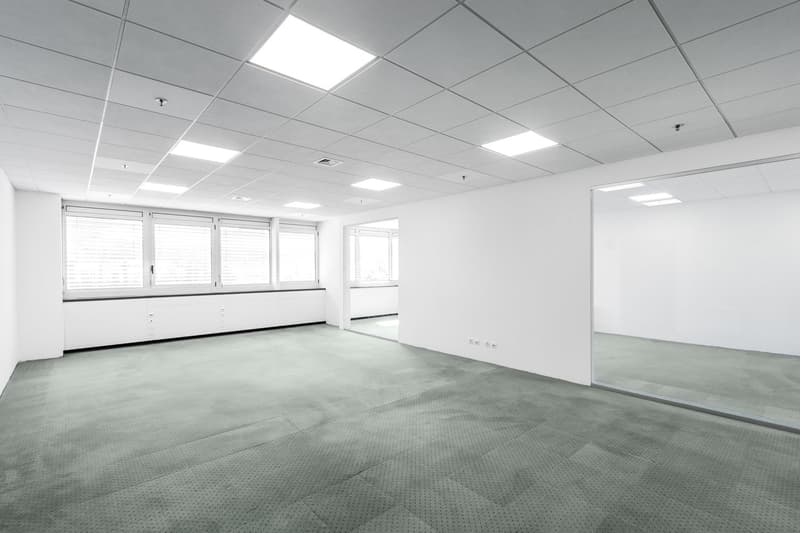 LUGANO NORD - BRIGHT OFFICE OF 333 SQM FOR RENT (REF. 213) (12)