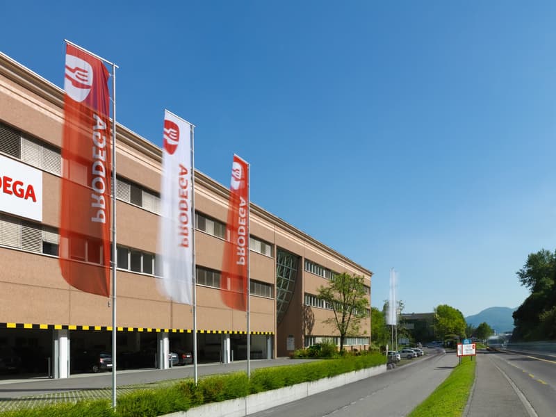 LUGANO NORD - BRIGHT OFFICE OF 333 SQM FOR RENT (REF. 213) (13)