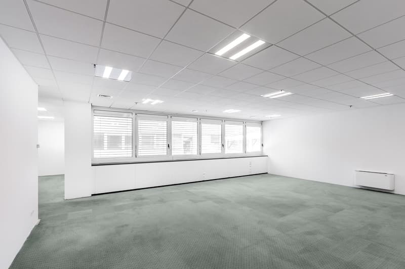 LUGANO NORD - BRIGHT OFFICE OF 333 SQM FOR RENT (REF. 213) (6)