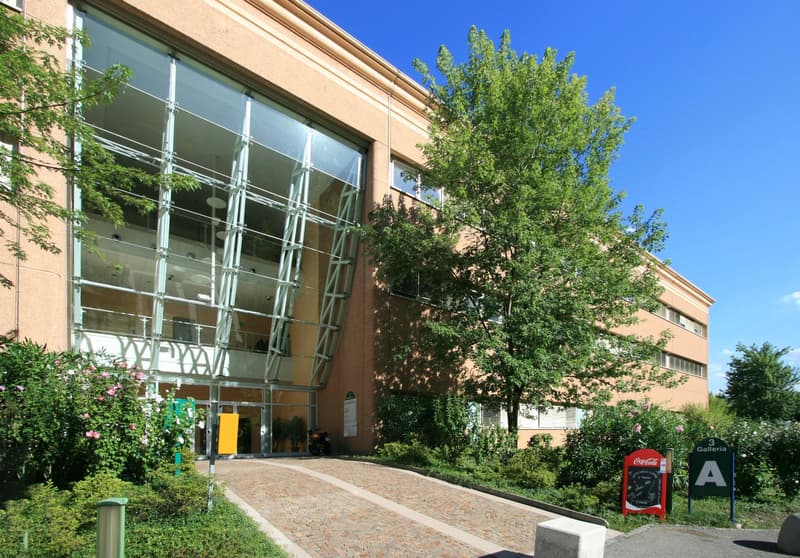 LUGANO NORD - BRIGHT OFFICE OF 333 SQM FOR RENT (REF. 213) (14)