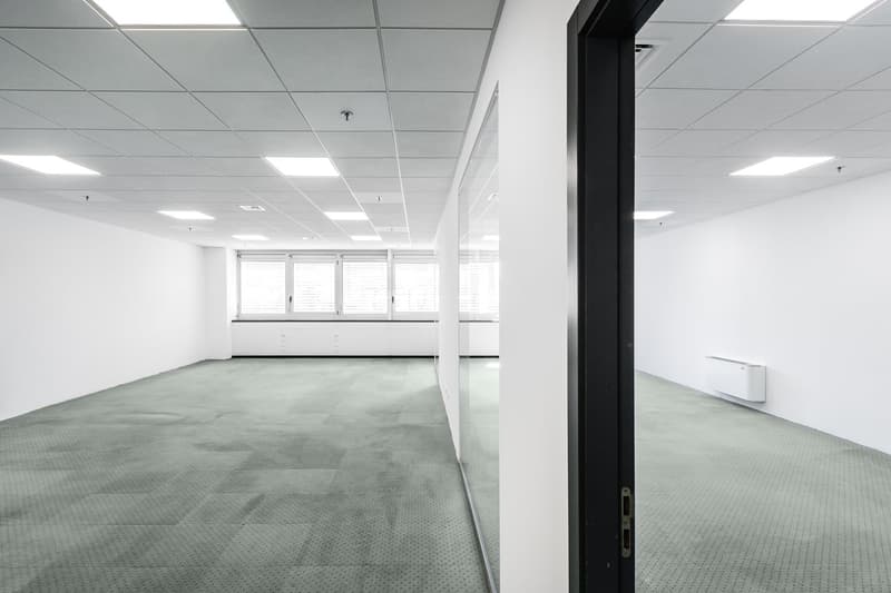 LUGANO NORD - BRIGHT OFFICE OF 333 SQM FOR RENT (REF. 213) (8)