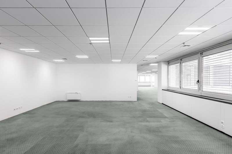 LUGANO NORD - BRIGHT OFFICE OF 333 SQM FOR RENT (REF. 213) (5)