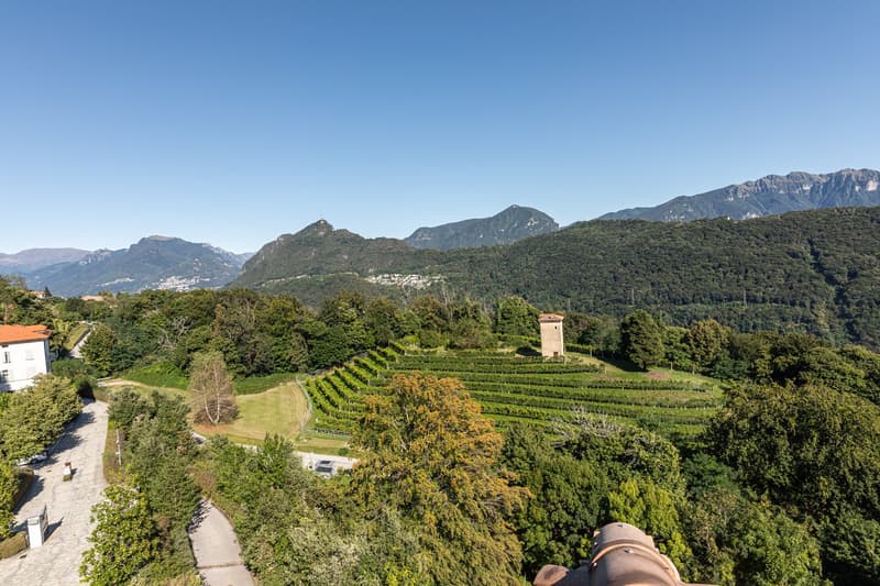 Aerial view of terraced vineyard with hills and mountains, buildings on left and right.