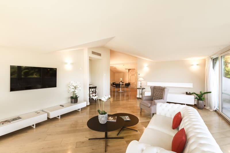 modern style, white walls, wooden floor, glass doors, large flat screen TV, round tables, sofa, armchair, potted plants, magazines